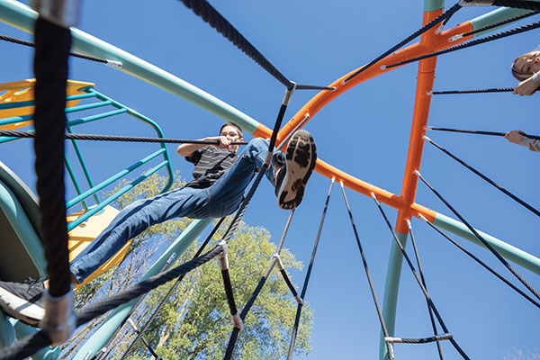 Level X Dome Playground Climber